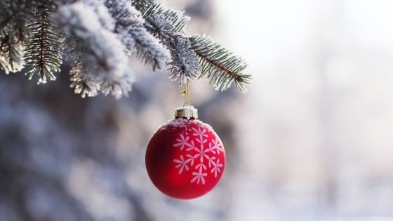 Discover the Magic: 5 Must-See Holiday Spots on Long Island - Howard Hanna | Coach Realtors