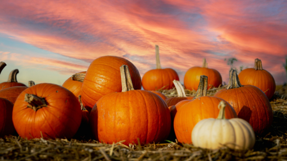 Find Spooky Family Fun Around Long Island - Howard Hanna | Coach Realtors